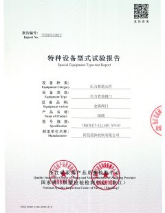 Сертификат 9