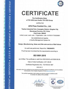 Сертификат 2